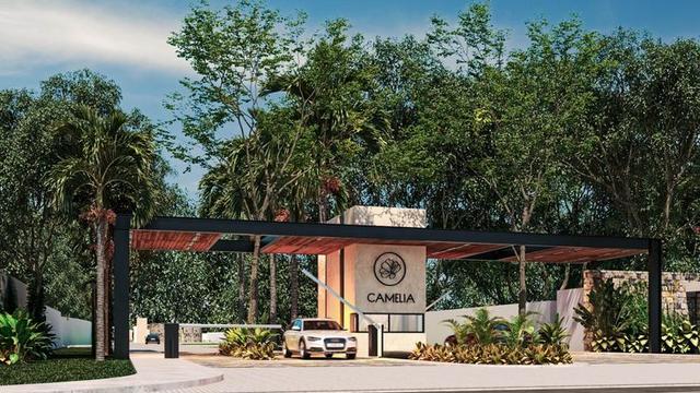 undefined a la venta en Conkal, Mérida, Yucatán Camelia Developers desarrollos inmobiliarios en Yucatán 