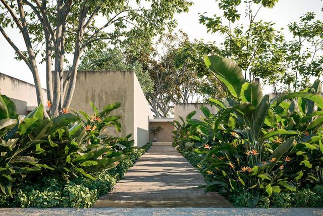undefined a la venta en Dzemul, Yucatán
 ALMAVIVA - Hacienda San Eduardo (Residencial) Developers desarrollos inmobiliarios en Yucatán 