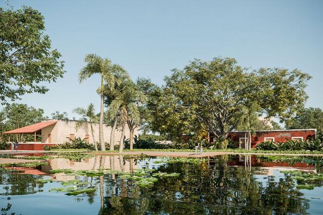 undefined a la venta en Dzemul, Yucatán
 ALMAVIVA - Hacienda San Eduardo (Residencial) Developers desarrollos inmobiliarios en Yucatán 