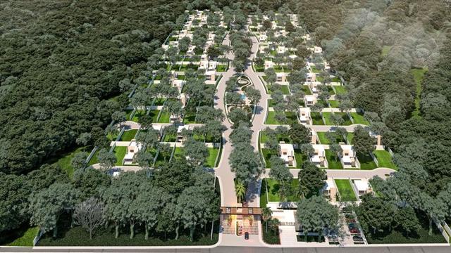 undefined a la venta en Conkal, Mérida, Yucatán Camelia Developers desarrollos inmobiliarios en Yucatán 