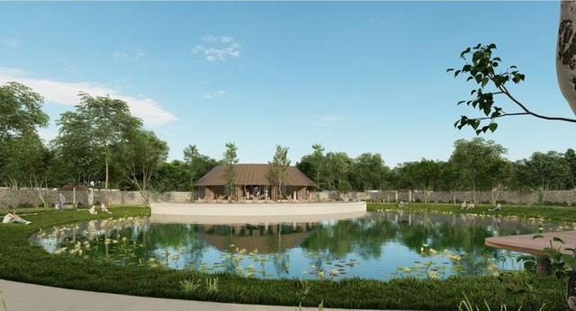 undefined a la venta en Valladolid, Yucatán
  Tierra Zalam Developers desarrollos inmobiliarios en Yucatán 
