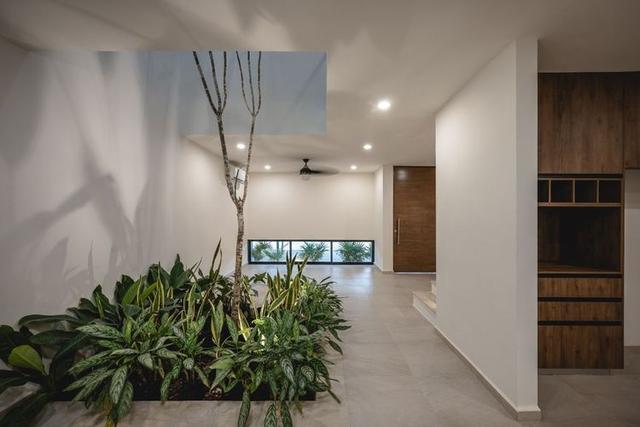 undefined a la venta en Dzityá, Mérida, Yucatán Ceres City Homes Developers desarrollos inmobiliarios en Yucatán 