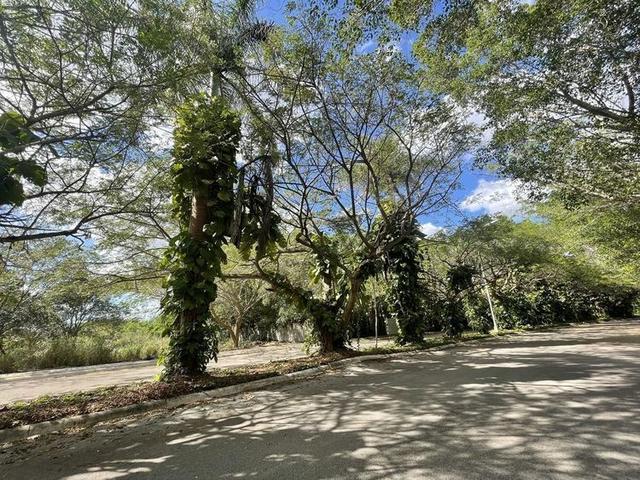undefined a la venta en Xcanatún, Mérida, Yucatán Nearoma Developers desarrollos inmobiliarios en Yucatán 