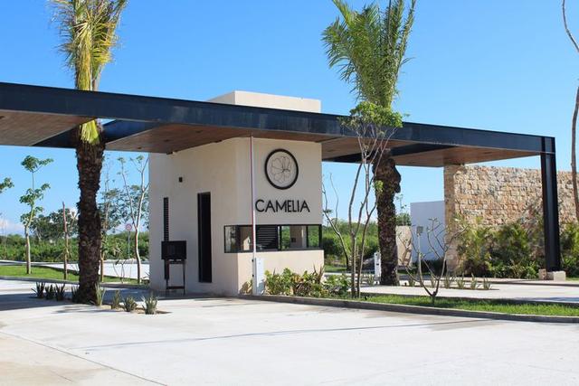 undefined a la venta en Conkal, Mérida, Yucatán Camelia Developers desarrollos inmobiliarios en Yucatán 