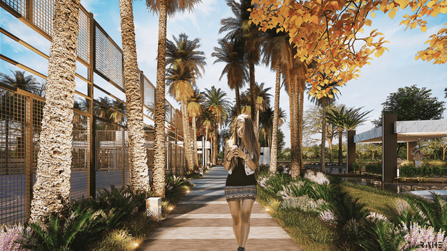 undefined a la venta en Progreso, Yucatán Alejandría Yucatán / Privada Vatia Developers desarrollos inmobiliarios en Yucatán 
