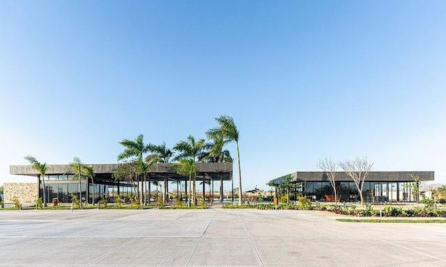 Terrenos a la venta en Conkal, Mérida, Yucatán Tamora Developers desarrollos inmobiliarios en Yucatán 