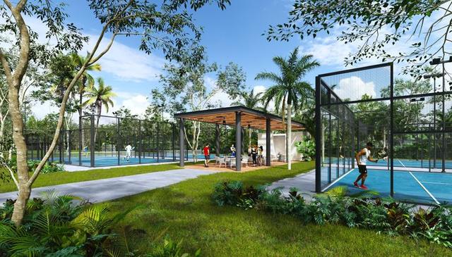 Terrenos a la venta en Hunkanab, Yucatán Kumay (lotes) Developers desarrollos inmobiliarios en Yucatán 