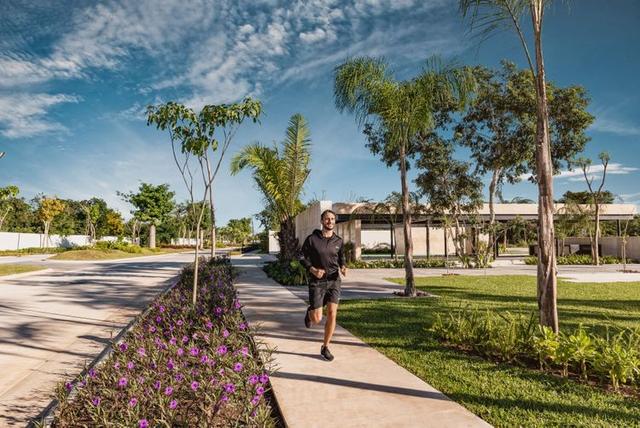 Terrenos a la venta en Carr. Mérida - Progreso, Yucatán Tamara Developers desarrollos inmobiliarios en Yucatán 