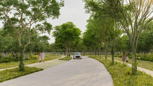 Terrenos a la venta en Valladolid, Yucatán
  Tierra Zalam Developers desarrollos inmobiliarios en Yucatán 