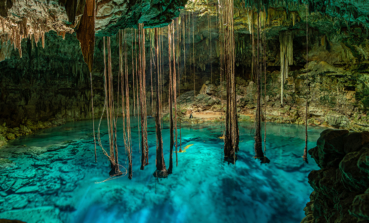 Cenotes de Mérida con agua cristalina