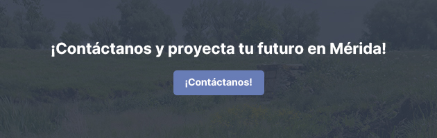 Contáctanos y descubre los mejores terrenos en Yucatán. 