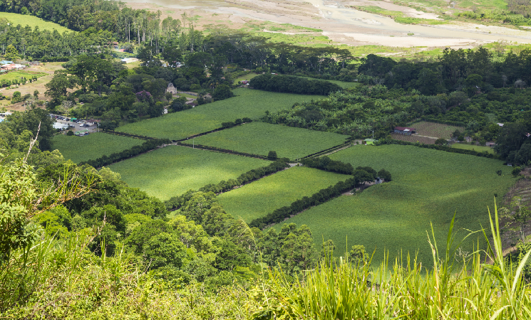 Terreno en Yucatán de Dvelopers a la venta. 