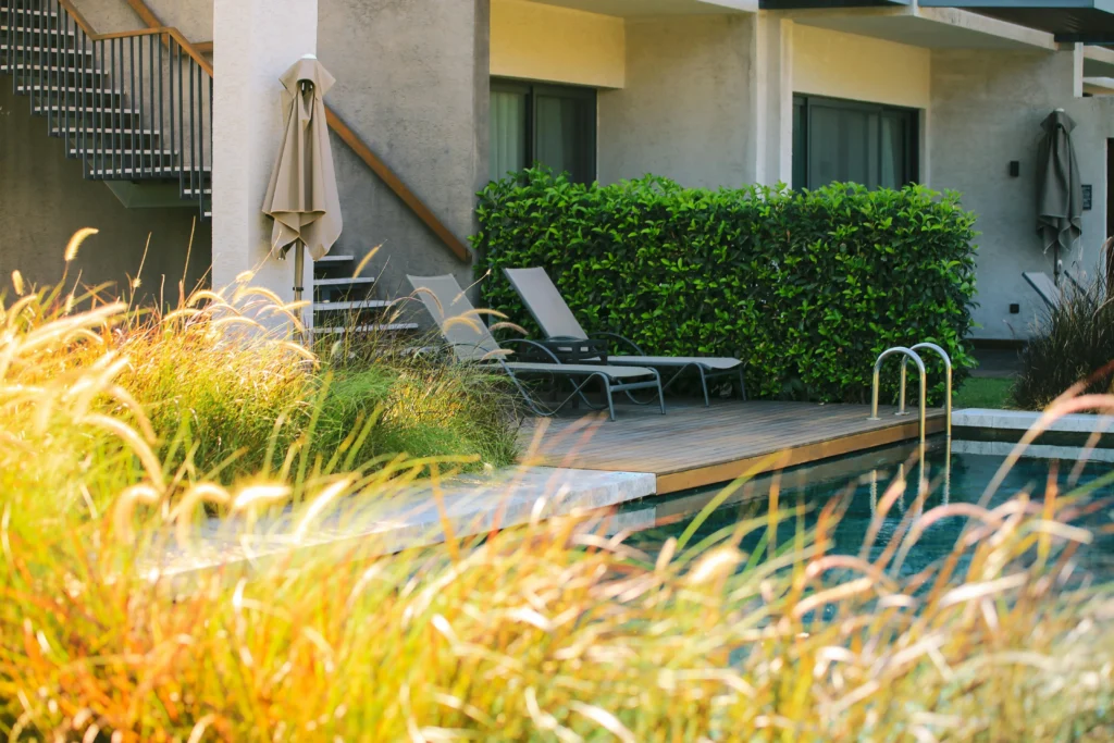 Qué es la Renta Vacacional en Progreso - Dvelopers